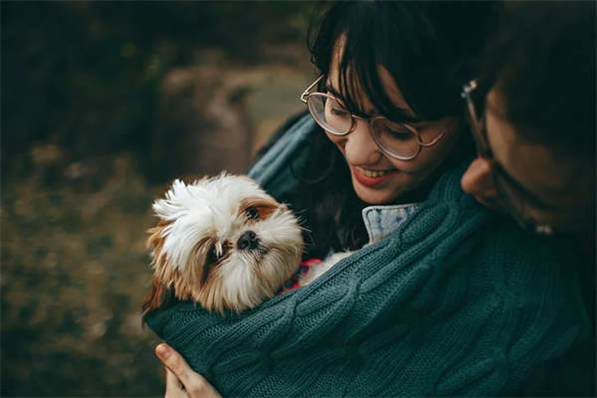 犬のてんかん治療薬「カリウムブロマイド」の効果・副作用・正しい使い方